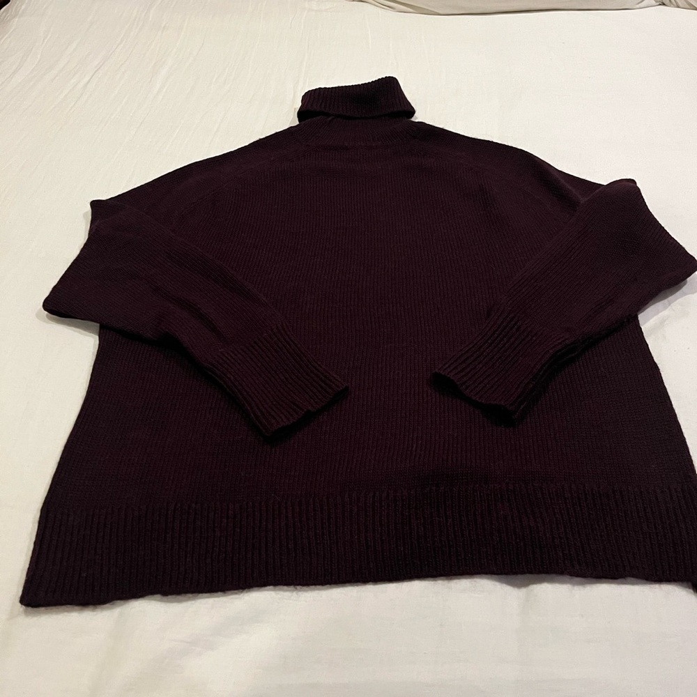 JCrew Turtleneck Sweater